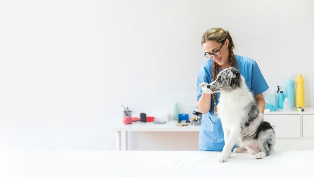 Een opmerking voor vrouwen die moeders willen worden op moederdag