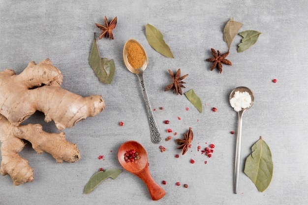 Cadeaux Essentiels pour la Noix de Santé